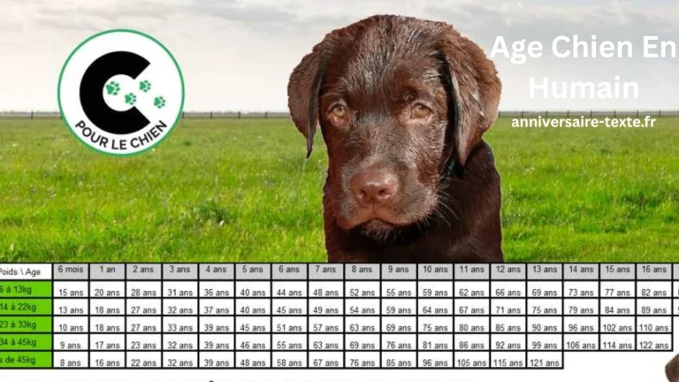 Age Chien En Humain
