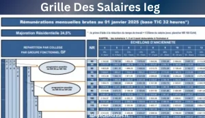 Qu’est-ce que la Grille Des Salaires Ieg