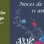 11 Ans De Mariage