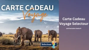 Qu'est-ce que la Carte Cadeau Voyage Selectour